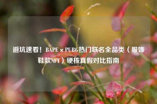 避坑速看!BAPE×PUBG热门联名全品类(服饰鞋款NFT)硬核真假对比指南