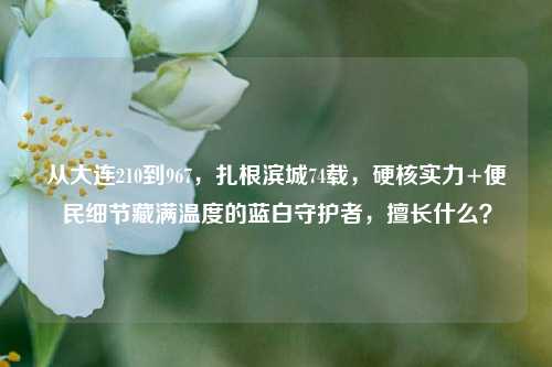 从大连210到967，扎根滨城74载，硬核实力+便民细节藏满温度的蓝白守护者，擅长什么？