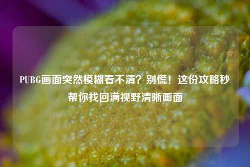 PUBG画面突然模糊看不清？别慌！这份攻略秒帮你找回满视野清晰画面