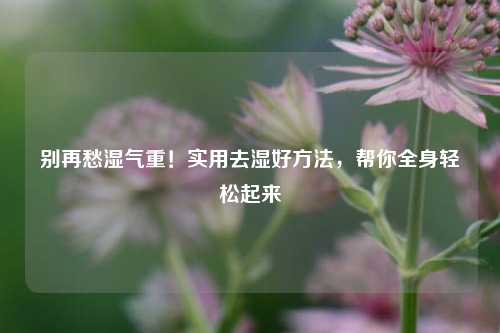 别再愁湿气重！实用去湿好方法，帮你全身轻松起来