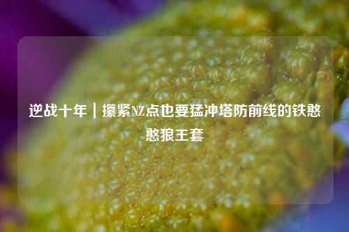 逆战十年｜攥紧NZ点也要猛冲塔防前线的铁憨憨狼王套