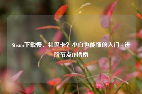 Steam下载慢、社区卡?小白也能懂的入门+进阶节点IP指南