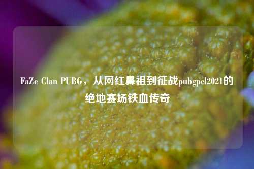 FaZe Clan PUBG,从网红鼻祖到征战pubgpcl2021的绝地赛场铁血传奇