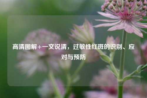 高清图解+一文说清,过敏性红斑的识别、应对与预防