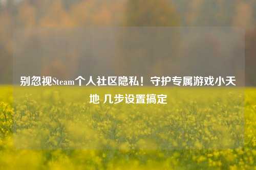 别忽视Steam个人社区隐私!守护专属游戏小天地 几步设置搞定