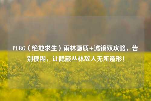 PUBG（绝地求生）雨林画质+滤镜双攻略，告别模糊，让隐蔽丛林敌人无所遁形！