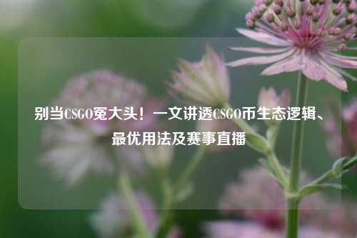别当CSGO冤大头!一文讲透CSGO币生态逻辑、最优用法及赛事直播
