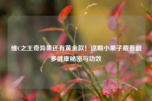 维C之王奇异果还有黄金款!这颗小果子藏着超多健康秘密与功效