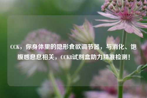 CCK,你身体里的隐形食欲调节器,与消化、饱腹感息息相关,CCK8试剂盒助力精准检测!