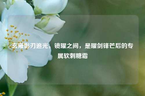 玄雍影刃追光,镜曜之间,是曜剑锋芒后的专属软刺糖霜
