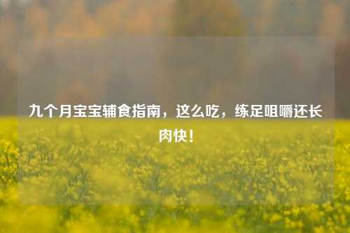 九个月宝宝辅食指南,这么吃,练足咀嚼还长肉快!