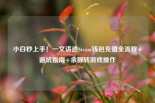 小白秒上手!一文讲透Steam钱包充值全流程+避坑指南+余额转游戏操作