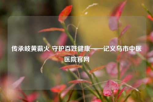 传承岐黄薪火 守护百姓健康——记义乌市中医医院官网