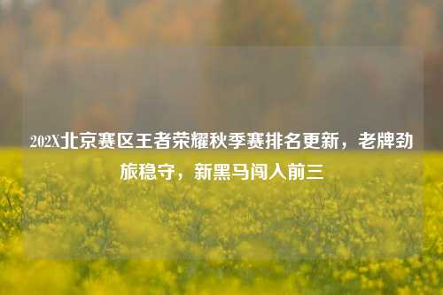 202X北京赛区王者荣耀秋季赛排名更新,老牌劲旅稳守,新黑马闯入前三