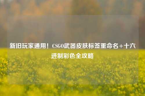 新旧玩家通用!CSGO武器皮肤标签重命名+十六进制彩色全攻略