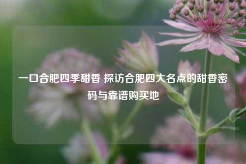 一口合肥四季甜香 探访合肥四大名点的甜香密码与靠谱购买地