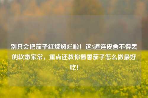 别只会把茄子红烧焖烂啦!这5道连皮舍不得丢的软嫩家常,重点还教你酱香茄子怎么做最好吃!
