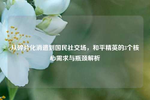 从碎片化消遣到国民社交场，和平精英的3个核心需求与瓶颈解析