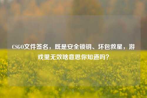CSGO文件签名,既是安全锁钥、坏包救星,游戏里无效啥意思你知道吗?