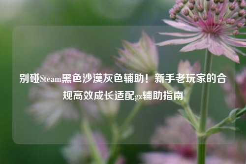 别碰Steam黑色沙漠灰色辅助!新手老玩家的合规高效成长适配gz辅助指南