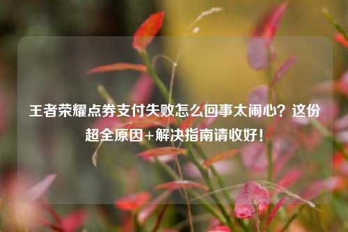 王者荣耀点券支付失败怎么回事太闹心？这份超全原因+解决指南请收好！