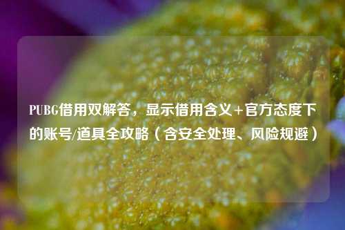 PUBG借用双解答,显示借用含义+官方态度下的账号/道具全攻略(含安全处理、风险规避)