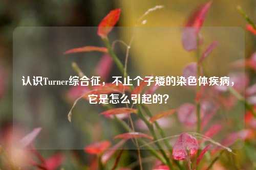 认识Turner综合征,不止个子矮的染色体疾病,它是怎么引起的?