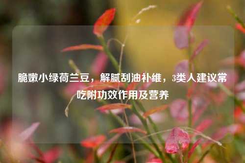脆嫩小绿荷兰豆,解腻刮油补维,3类人建议常吃附功效作用及营养