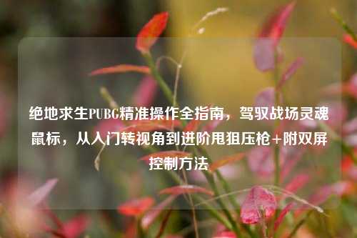 绝地求生PUBG精准操作全指南,驾驭战场灵魂鼠标,从入门转视角到进阶甩狙压枪+附双屏控制方法
