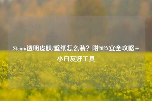 Steam透明皮肤/壁纸怎么装?附202X安全攻略+小白友好工具