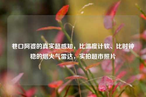 巷口阿婆的真实超感知,比温度计软、比时钟稳的烟火气雷达,实拍超市照片