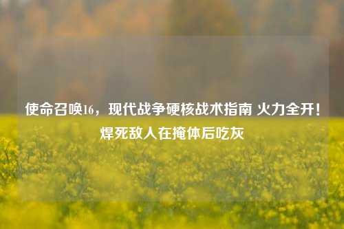 使命召唤16,现代战争硬核战术指南 火力全开!焊死敌人在掩体后吃灰