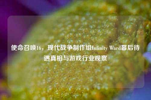 使命召唤16,现代战争制作组Infinity Ward幕后待遇真相与游戏行业观察