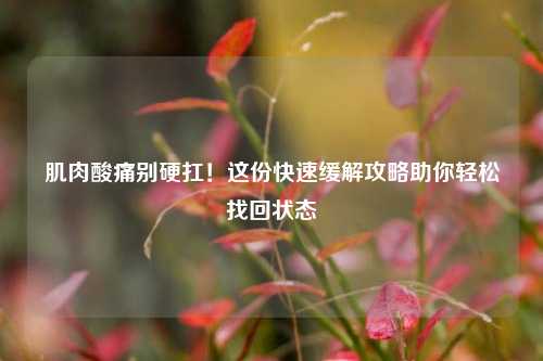 肌肉酸痛别硬扛！这份快速缓解攻略助你轻松找回状态