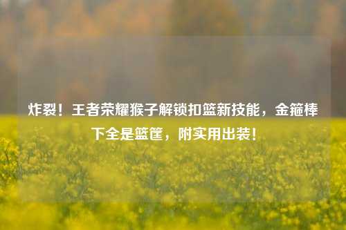 炸裂!王者荣耀猴子解锁扣篮新技能,金箍棒下全是篮筐,附实用出装!