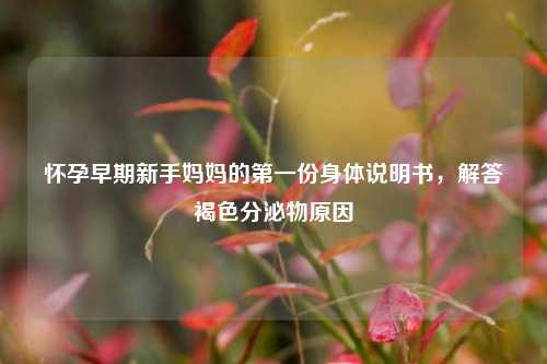 怀孕早期新手妈妈的第一份身体说明书,解答褐色分泌物原因