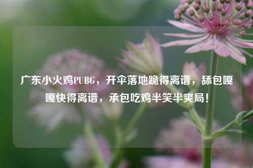 广东小火鸡PUBG,开伞落地跪得离谱,舔包嘎嘎快得离谱,承包吃鸡半笑半爽局!