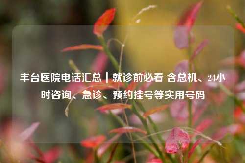 丰台医院电话汇总|就诊前必看 含总机、24小时咨询、急诊、预约挂号等实用号码