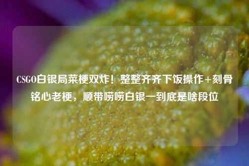 CSGO白银局菜梗双炸!整整齐齐下饭操作+刻骨铭心老梗,顺带唠唠白银一到底是啥段位