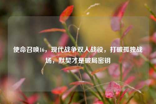 使命召唤16,现代战争双人战役,打破孤独战场,默契才是破局密钥