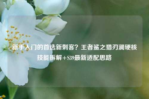 新手入门的首选新刺客?王者鲨之猎刃澜硬核技能拆解+S39最新适配思路