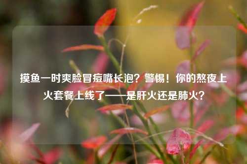 摸鱼一时爽脸冒痘嘴长泡?警惕!你的熬夜上火套餐上线了——是肝火还是肺火?