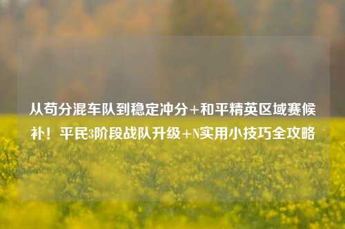 从苟分混车队到稳定冲分+和平精英区域赛候补!平民3阶段战队升级+N实用小技巧全攻略