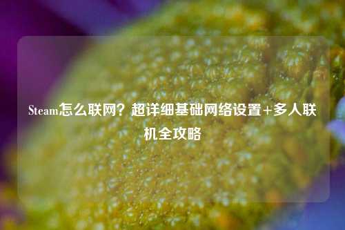 Steam怎么联网？超详细基础网络设置+多人联机全攻略