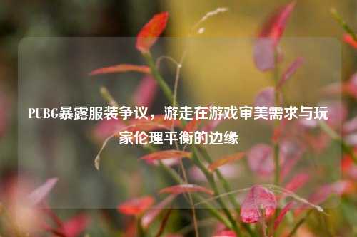 PUBG暴露服装争议,游走在游戏审美需求与玩家伦理平衡的边缘