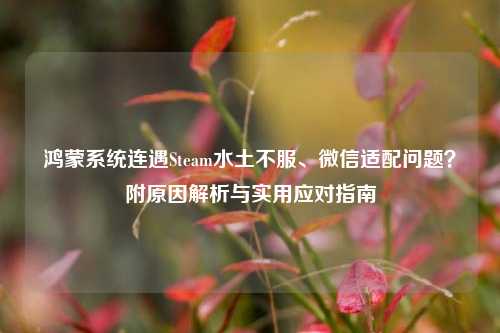 鸿蒙系统连遇Steam水土不服、微信适配问题?附原因解析与实用应对指南