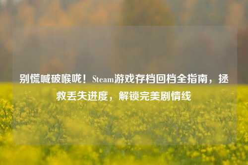 别慌喊破喉咙!Steam游戏存档回档全指南,拯救丢失进度,解锁完美剧情线