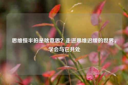 思维慢半拍是啥意思?走进思维迟缓的世界,学会与它共处
