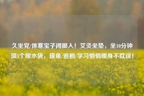 久坐党/体寒宝子闭眼入!艾灸坐垫,坐10分钟顶3个暖水袋,摸鱼/追剧/学习悄悄暖身不耽误!