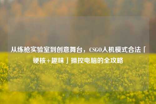 从练枪实验室到创意舞台，CSGO人机模式合法「硬核+趣味」操控电脑的全攻略